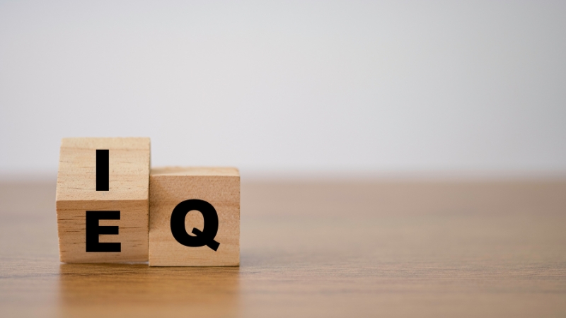 emocinis intelektas darbe